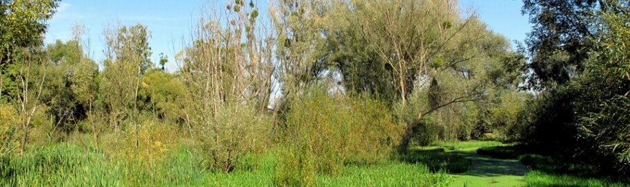 Зоны санитарной охраны