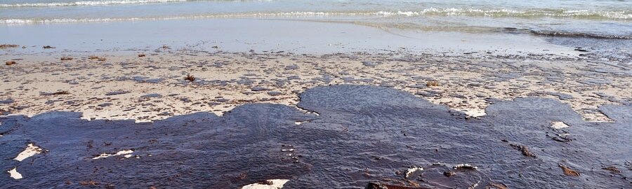 Природоохранные мероприятия 