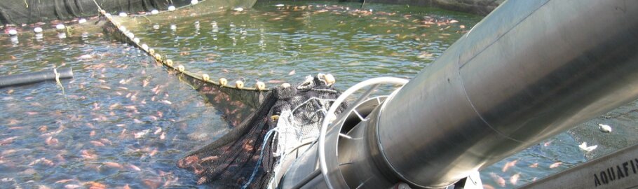 Рыбохозяйственное направление